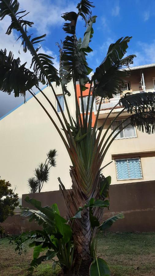 Appartement Le Voyageur à Terre-Sainte, Saint-Pierre Extérieur photo